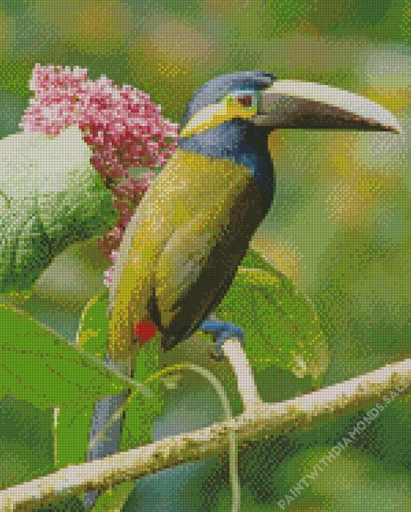 Yellow Eared Toucanet bird Diamond Dotz Yellow Eared Toucanet Bird Diamond Painting