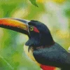 Yellow Eared Toucanet Close Up Diamond Painting