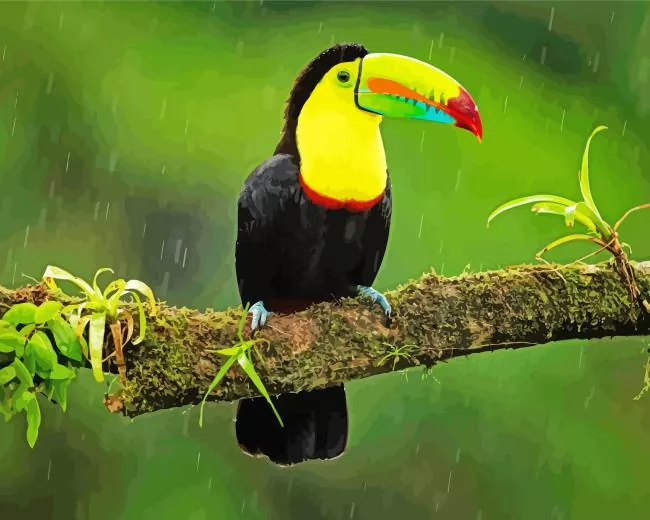 Yellow Eared Toucanet in rain Diamond By Numbers Yellow Eared Toucanet In Rain Diamond Painting