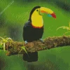 Yellow Eared Toucanet In Rain Diamond Painting