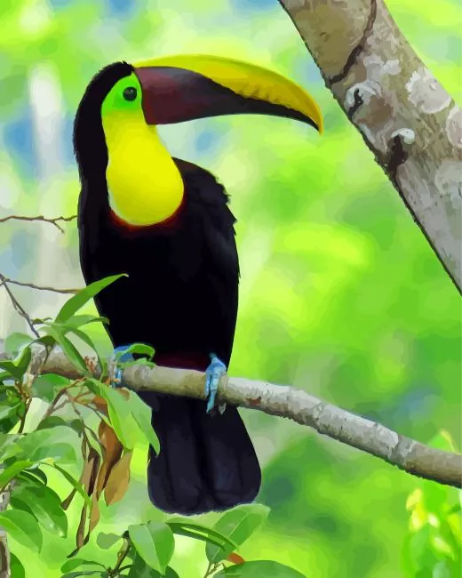 Yellow Eared Toucanet on a branch Diamond By Numbers Yellow Eared Toucanet On A Branch Diamond Painting