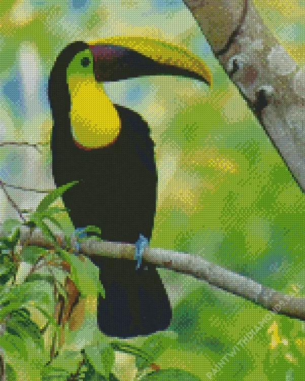 Yellow Eared Toucanet on a branch Diamond Dotz Yellow Eared Toucanet On A Branch Diamond Painting