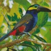 Yellow Eared Toucanet On A Tree Diamond Painting