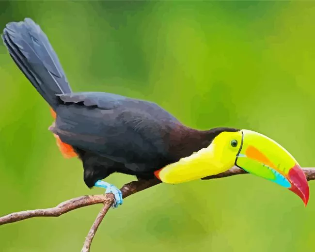 Yellow Eared Toucanet with green beak Diamond By Numbers Yellow Eared Toucanet With Green Beak Diamond Painting