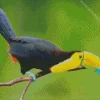 Yellow Eared Toucanet With Green Beak Diamond Painting