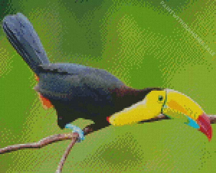 Yellow Eared Toucanet with green beak Diamond Dotz Yellow Eared Toucanet With Green Beak Diamond Painting