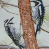 Yellow Bellied Sapsuckers Diamond Painting