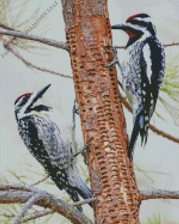 Yellow bellied sapsuckers Diamond By Numbers Yellow Bellied Sapsuckers Diamond Painting