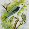 Abstract Elanus Bird Art Diamond Painting