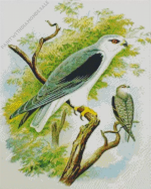 abstract Elanus Bird art Diamond Dotz Abstract Elanus Bird Art Diamond Painting