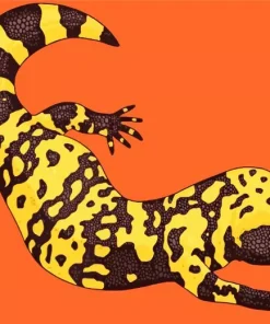 Abstract Gila Monster Diamond Painting