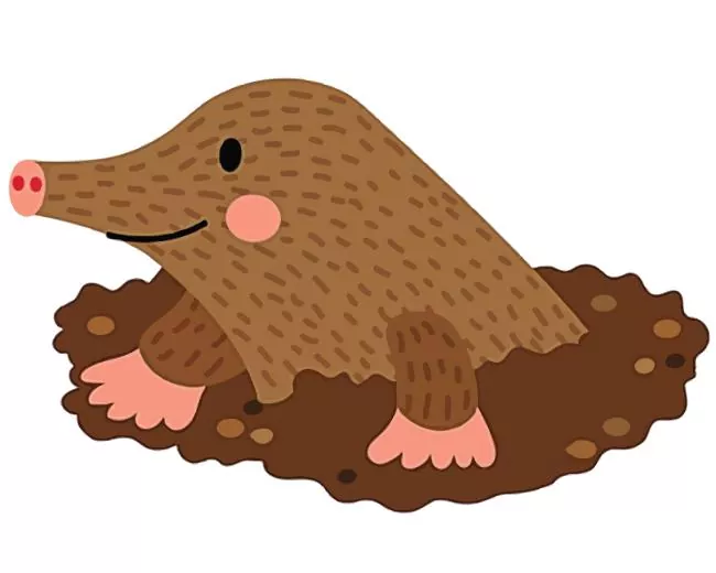 abstract Mole animal Diamond Paintings Abstract Mole Animal Diamond Painting