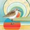 Abstract Sandpiper Diamond Painting
