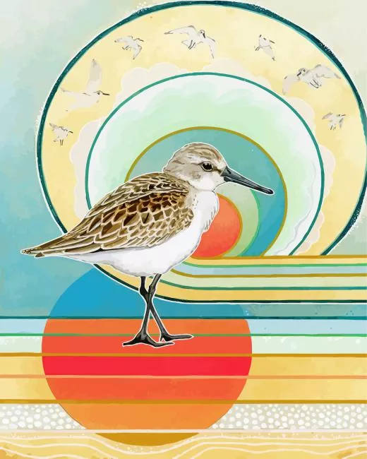 abstract Sandpiper Diamond By Numbers Abstract Sandpiper Diamond Painting