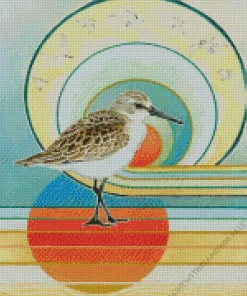 Abstract Sandpiper Diamond Painting