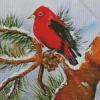 Abstract Scarlet Tanager Diamond Painting