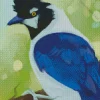 Abstract Tufted Jay Diamond Painting