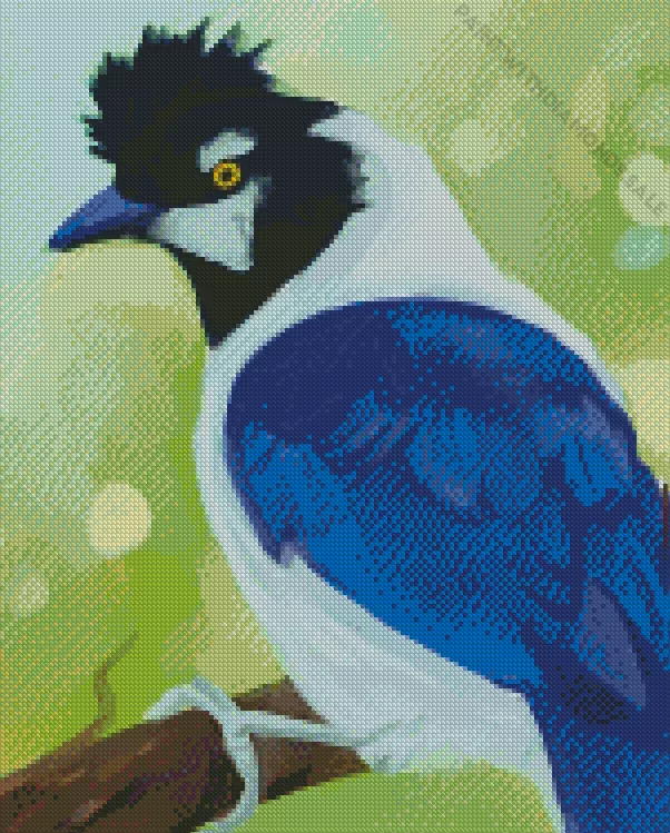abstract Tufted Jay Diamond By Numbers Abstract Tufted Jay Diamond Painting