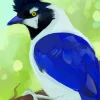 Abstract Tufted Jay Diamond Painting