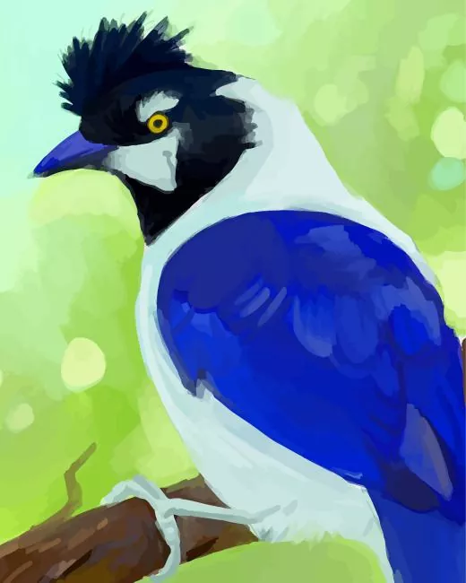 abstract Tufted Jay Diamond Paints Abstract Tufted Jay Diamond Painting
