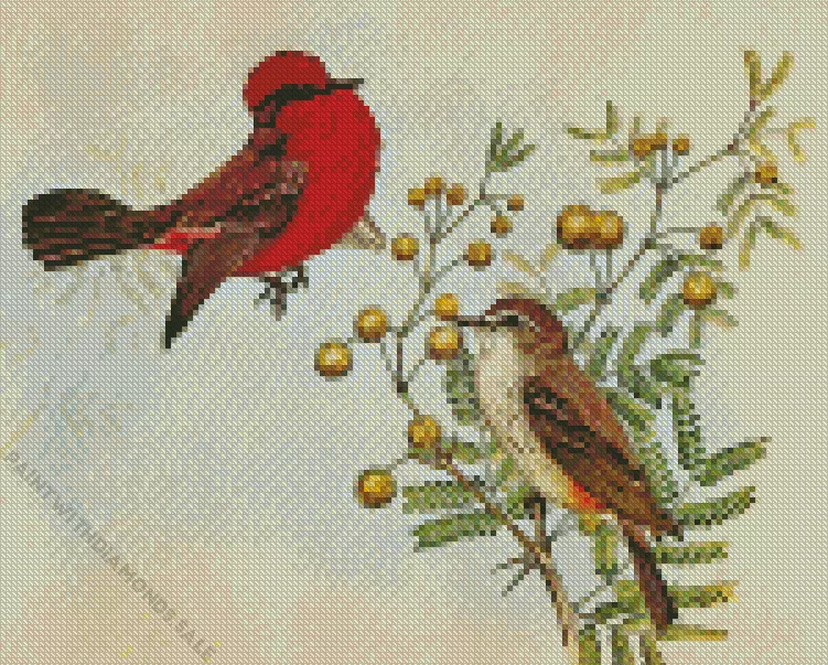 abstract Vermilion Flycatcher bird Diamond By Numbers Abstract Vermilion Flycatcher Bird Diamond Painting