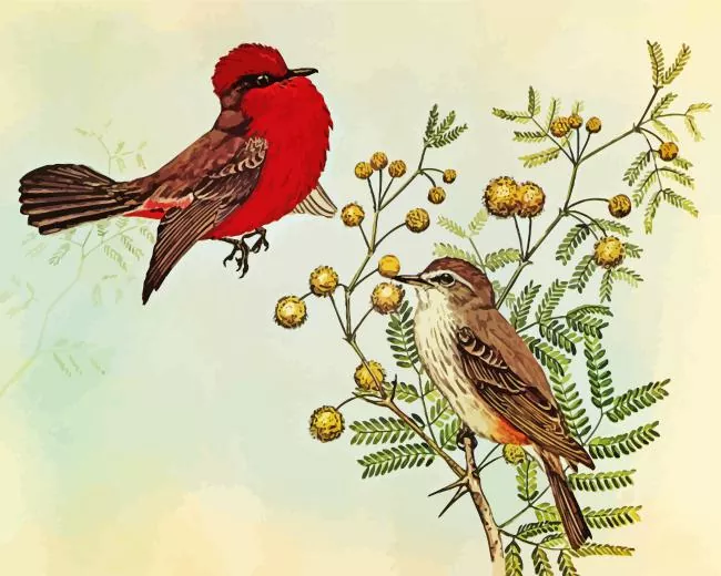 abstract Vermilion Flycatcher bird Diamond Paints Abstract Vermilion Flycatcher Bird Diamond Painting