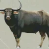 Abstract Wild Water Buffalo Diamond Painting