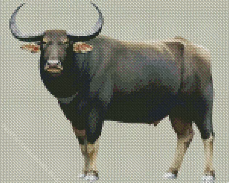 abstract Wild water buffalo Diamond By Numbers Abstract Wild Water Buffalo Diamond Painting