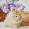 Adorable Angora Rabbit Diamond Painting