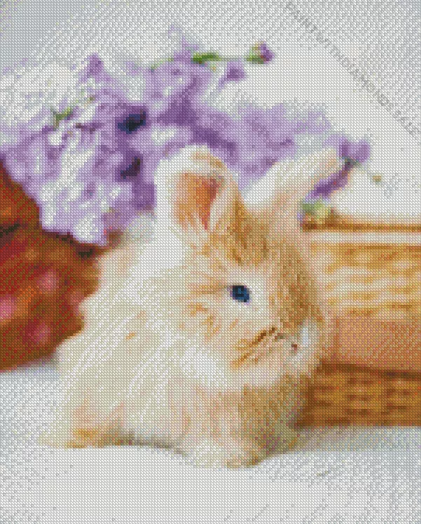 adorable Angora rabbit Diamond By Numbers Adorable Angora Rabbit Diamond Painting
