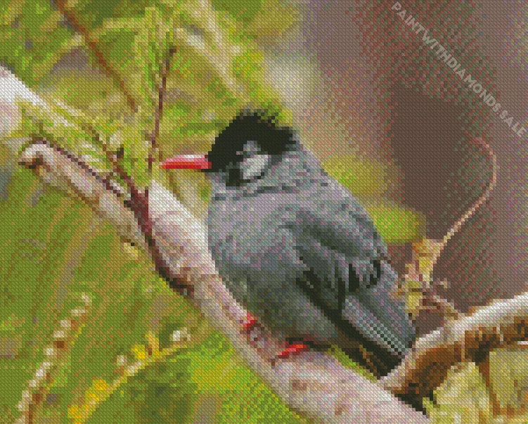 adorable Black Bulbul Diamond By Numbers Adorable Black Bulbul Diamond Painting