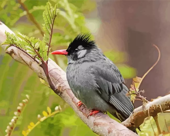 adorable Black Bulbul Diamond Paints Adorable Black Bulbul Diamond Painting
