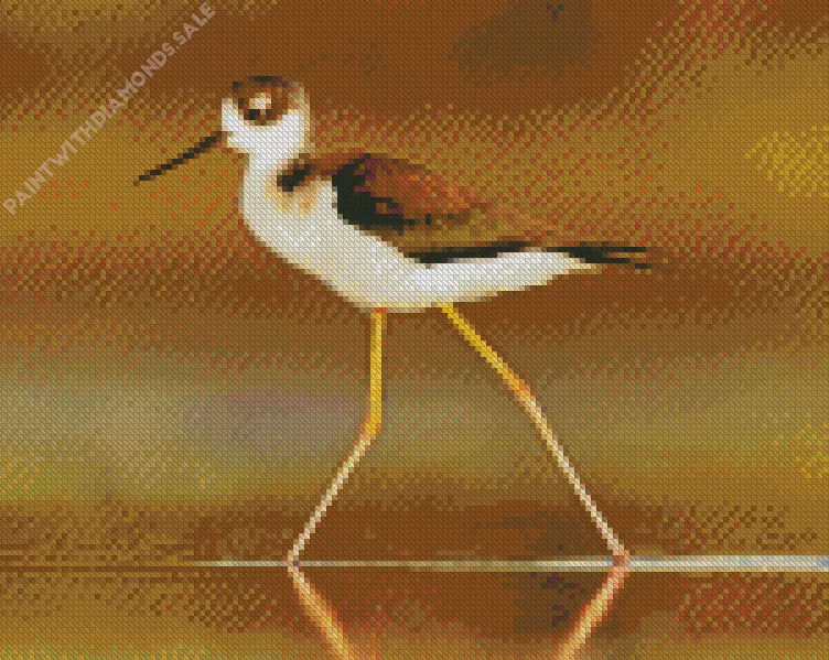 adorable Black Necked Stilt Diamond By Numbers Adorable Black Necked Stilt Diamond Painting