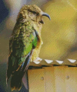 Adorable Kea Bird Art Diamond Painting