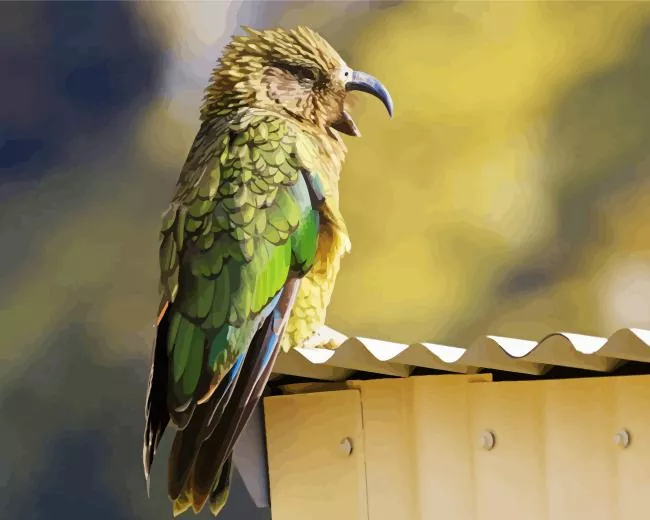 adorable Kea Bird Diamond With Numbers Adorable Kea Bird Art Diamond Painting