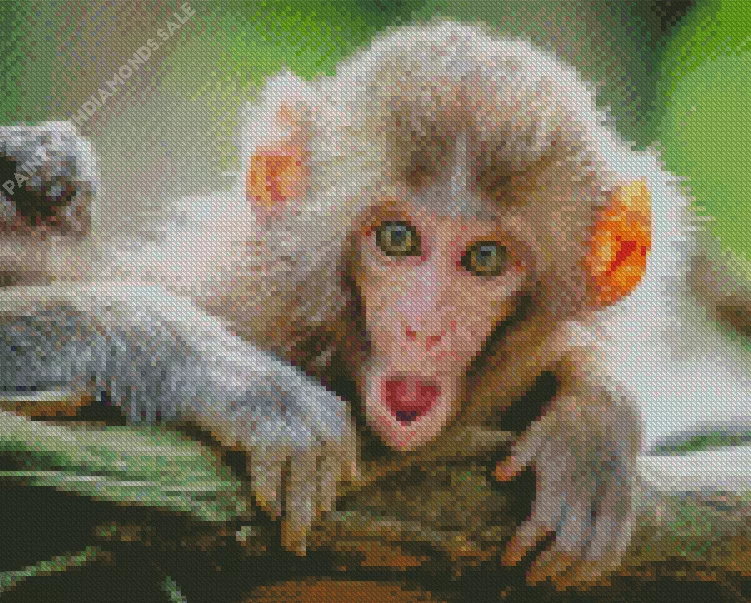 adorable Macaque Diamond Dotz Adorable Macaque Diamond Painting