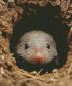 Adorable Mole Diamond Painting