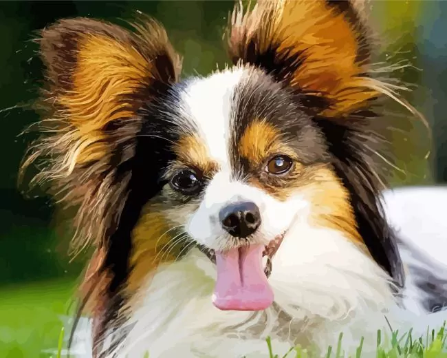adorable Papillon dog Diamond By Numbers Adorable Papillon Dog Diamond Painting