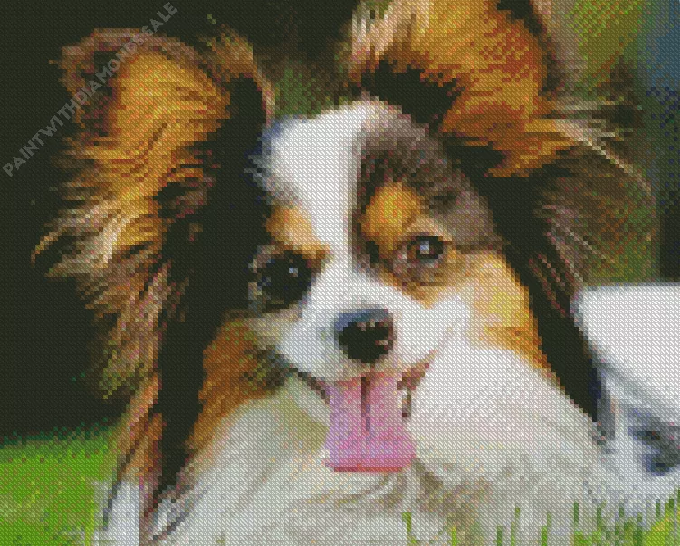 adorable Papillon dog Diamond Paints Adorable Papillon Dog Diamond Painting