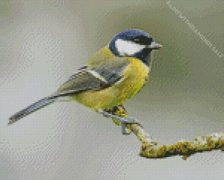 adorable Parus Bird Diamond Dotz Adorable Parus Bird Diamond Painting