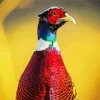 Adorable Pheasant Diamond Painting