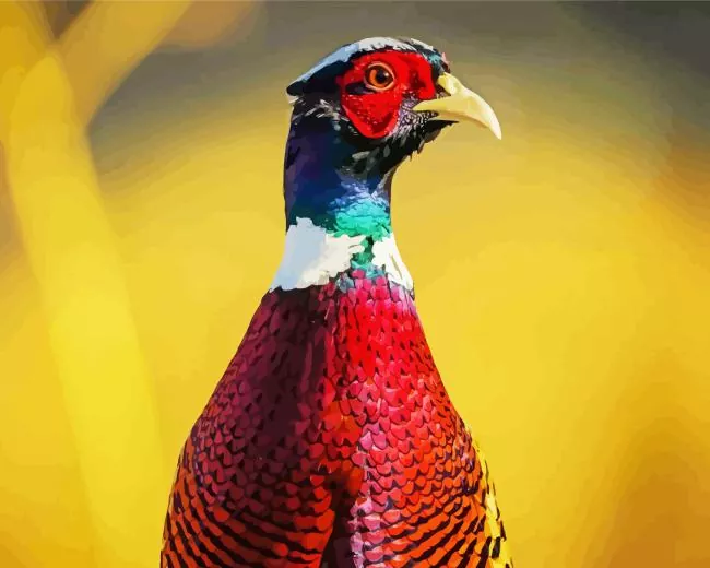 adorable Pheasant Diamond By Numbers Adorable Pheasant Diamond Painting