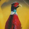 Adorable Pheasant Diamond Painting