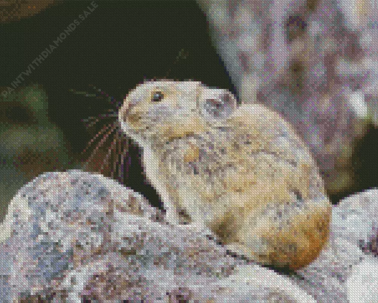 adorable Pika Diamond By Numbers Adorable Pika Diamond Painting