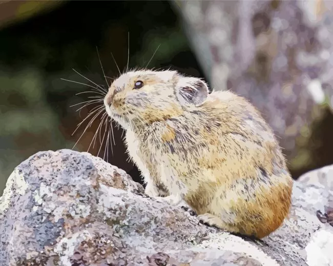 adorable Pika Diamond Paintings Adorable Pika Diamond Painting