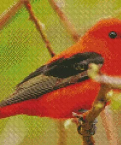 Adorable Scarlet Tanager Diamond Painting