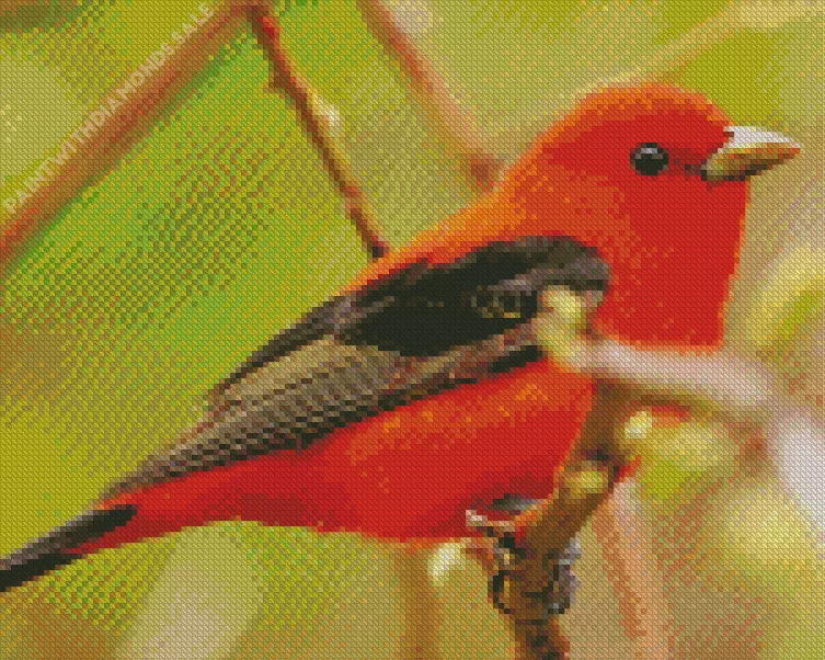 adorable Scarlet Tanager Diamond Dotz Adorable Scarlet Tanager Diamond Painting