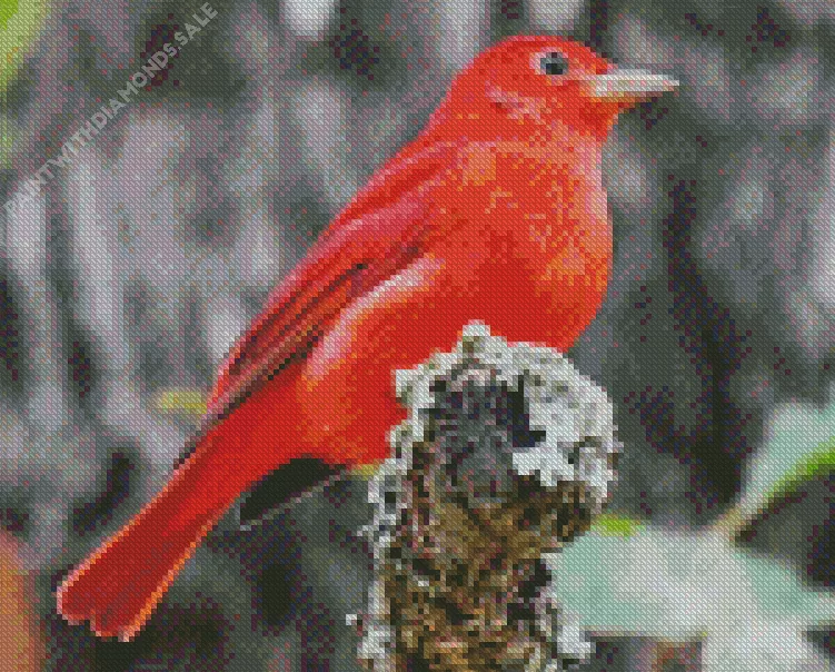adorable Summer Tanager Bird Diamond Dotz Adorable Summer Tanager Bird Diamond Painting