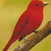 Adorable Summer Tanager Diamond Painting