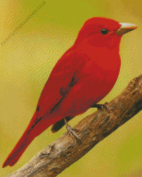 adorable Summer Tanager Diamond Dotz Adorable Summer Tanager Diamond Painting